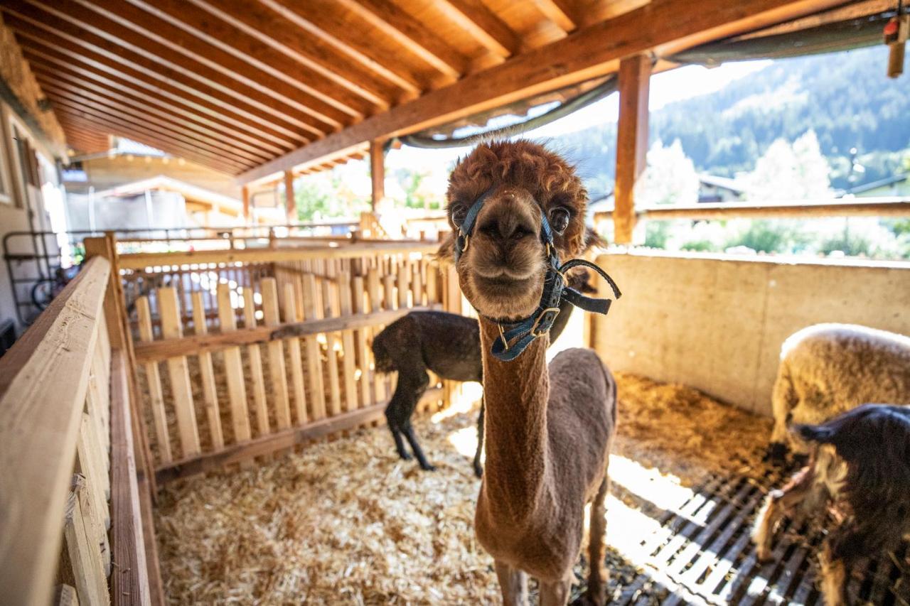 Bauernhof Vorderklinglhub Villa Flachau Kültér fotó