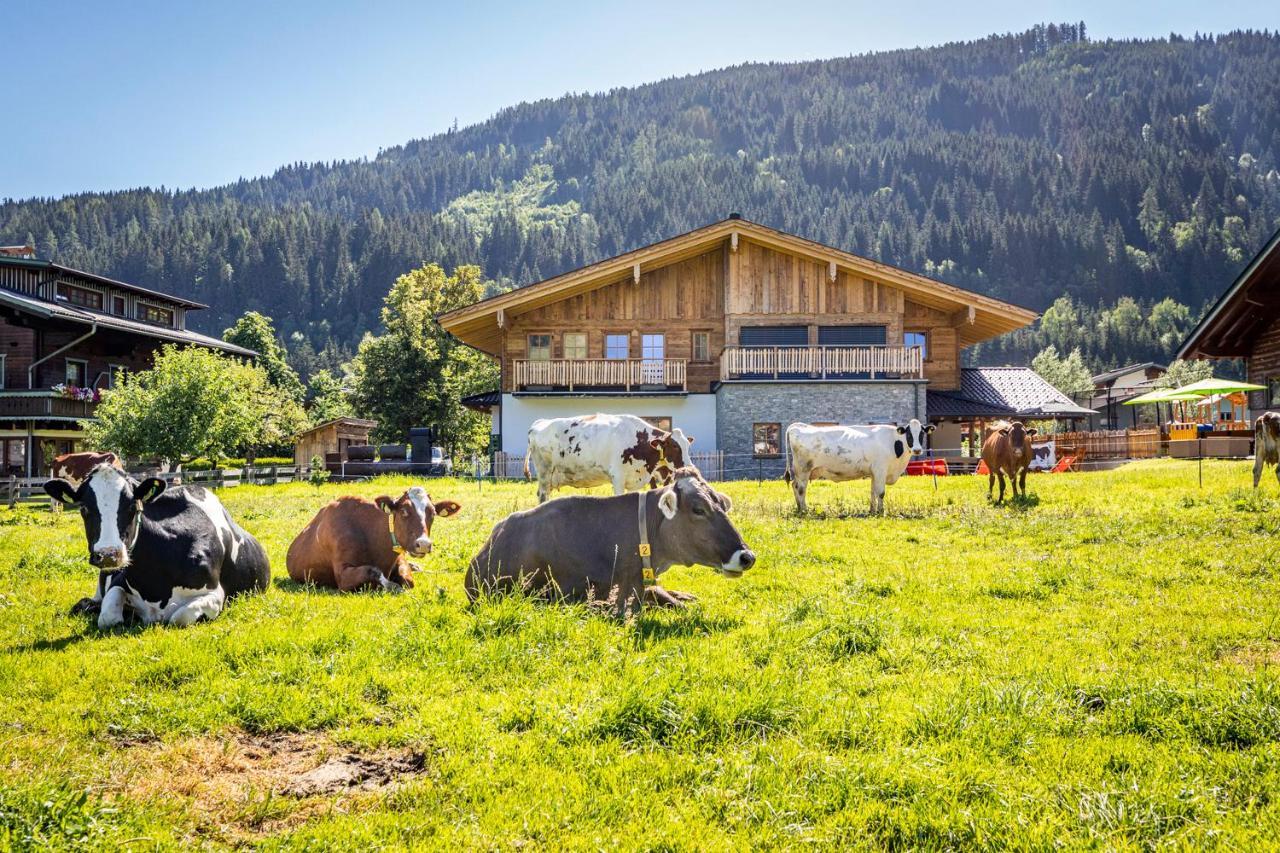 Bauernhof Vorderklinglhub Villa Flachau Kültér fotó