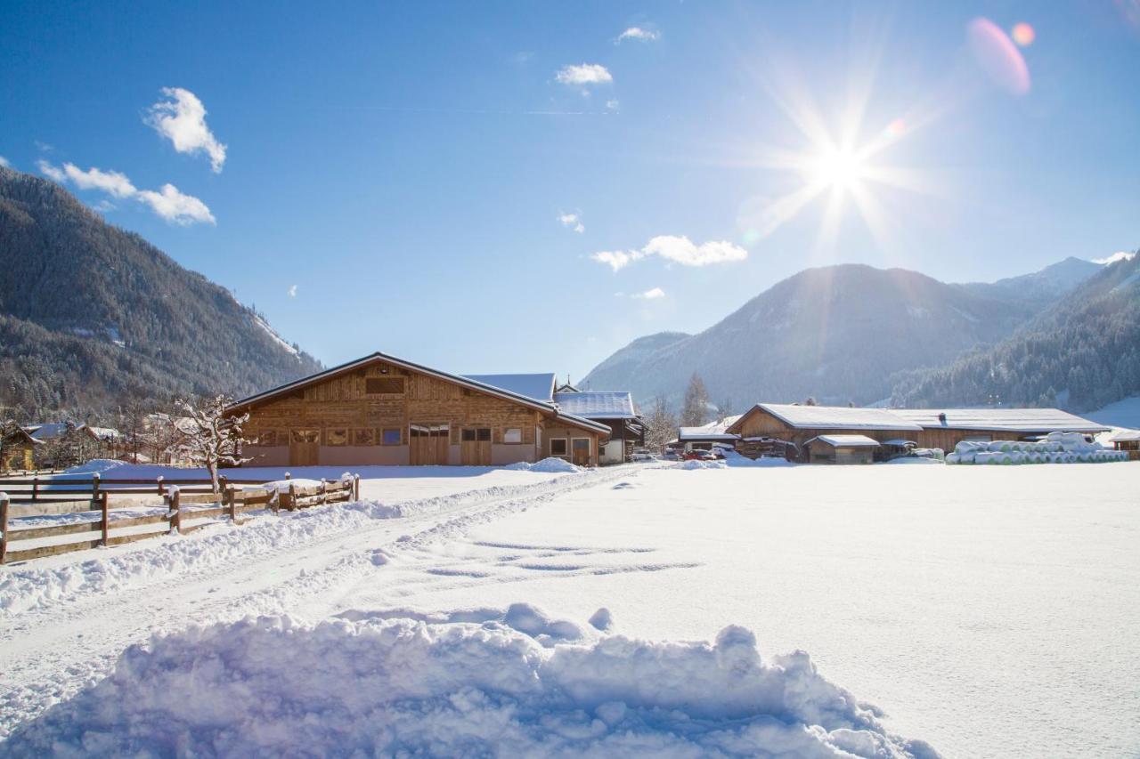 Bauernhof Vorderklinglhub Villa Flachau Kültér fotó