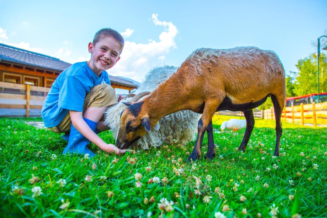 Bauernhof Vorderklinglhub Villa Flachau Kültér fotó